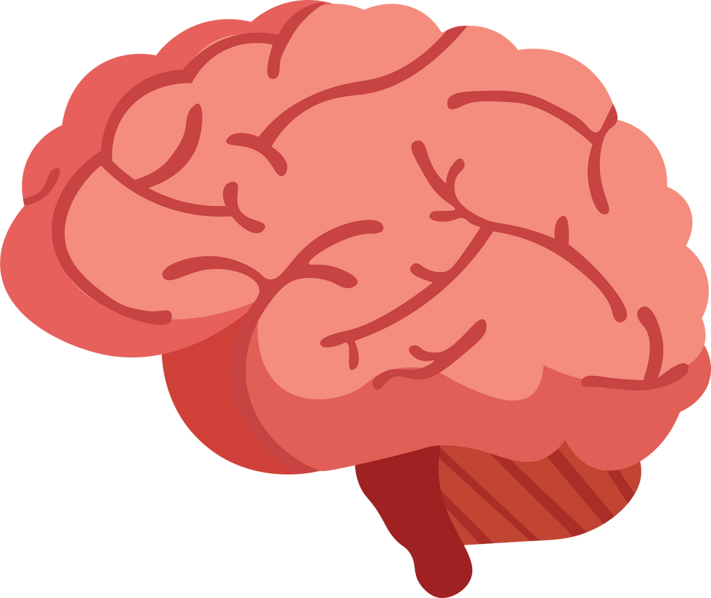 Human Brain Illustration